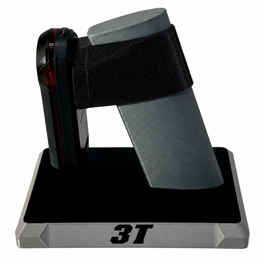 3T